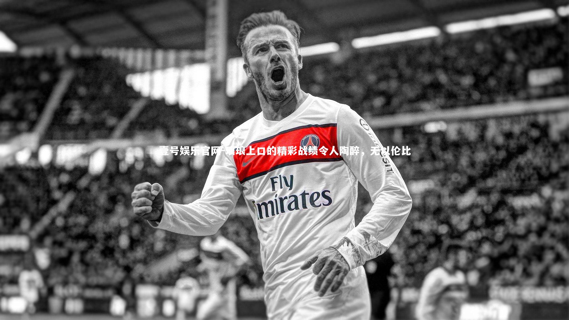 琅琅上口的精彩战绩令人陶醉，无以伦比